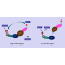 PD-1/PD-L1 Inhibitor Binding Assay Kit
